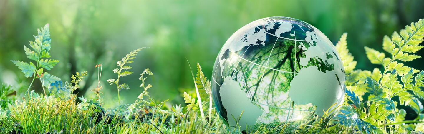 Programme Green Solutions