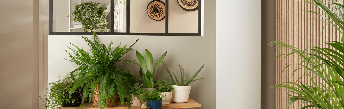 Salle de bain moderne et bien décorée, sèche-serviette visible 