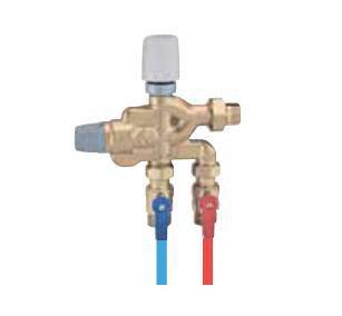MITIGEUR THERMOSTATIQUE - Groupe anti-légionnelles LEGIOFLOW