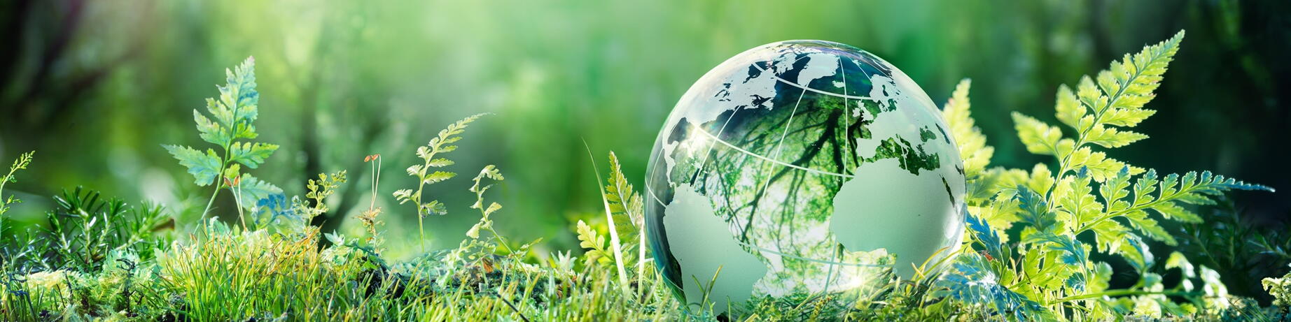 Programme Green Solutions