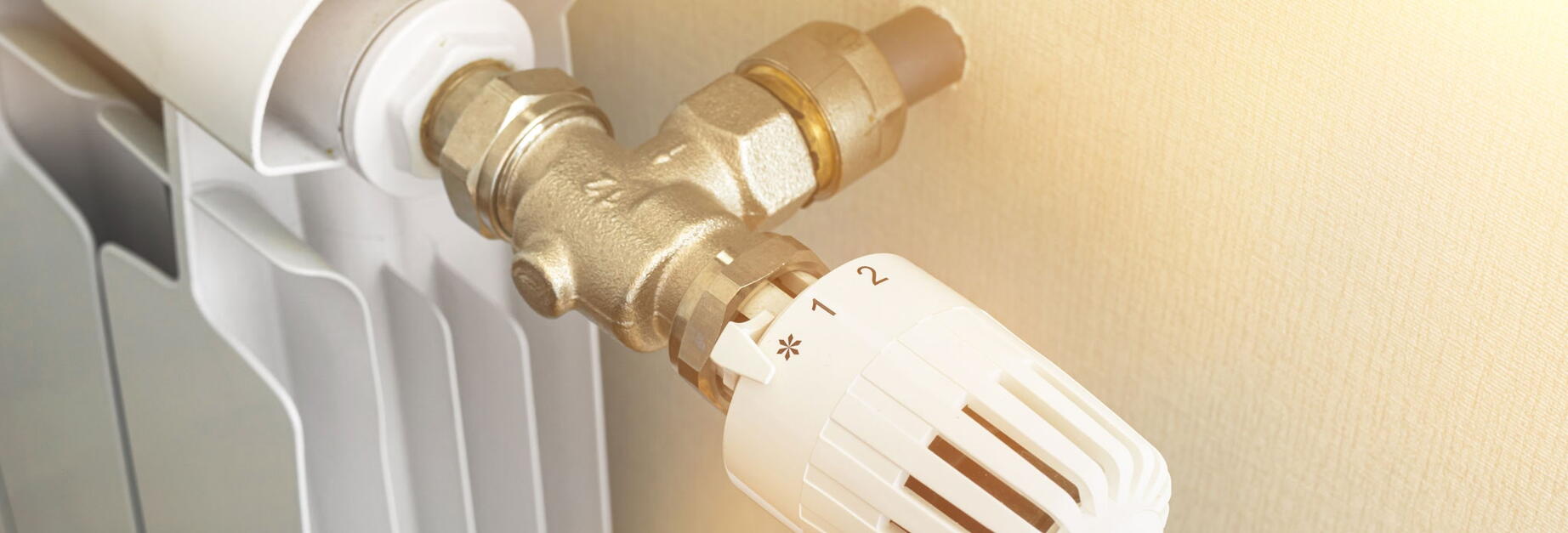 rbm traitement eau de chauffage