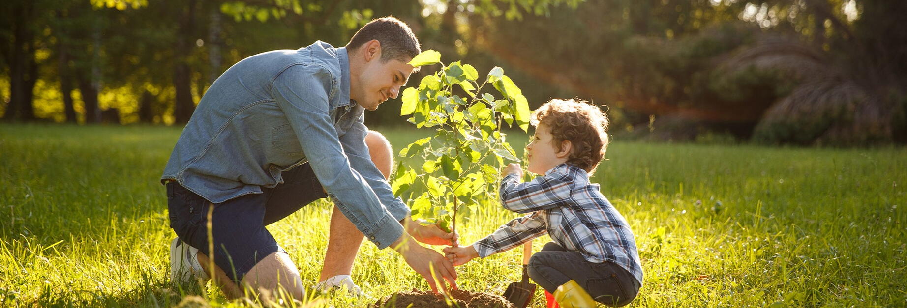 Sobriété énergétique : quels éco-gestes adopter facilement 