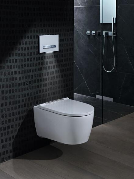 Comment choisir sa plaque de commande pour WC suspendu