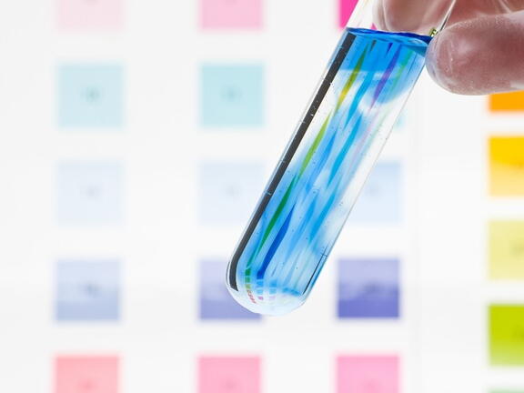 3-réglementations-sanitaires-2023