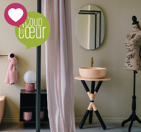 1-vasque_sdb_lieu_exceptionnel