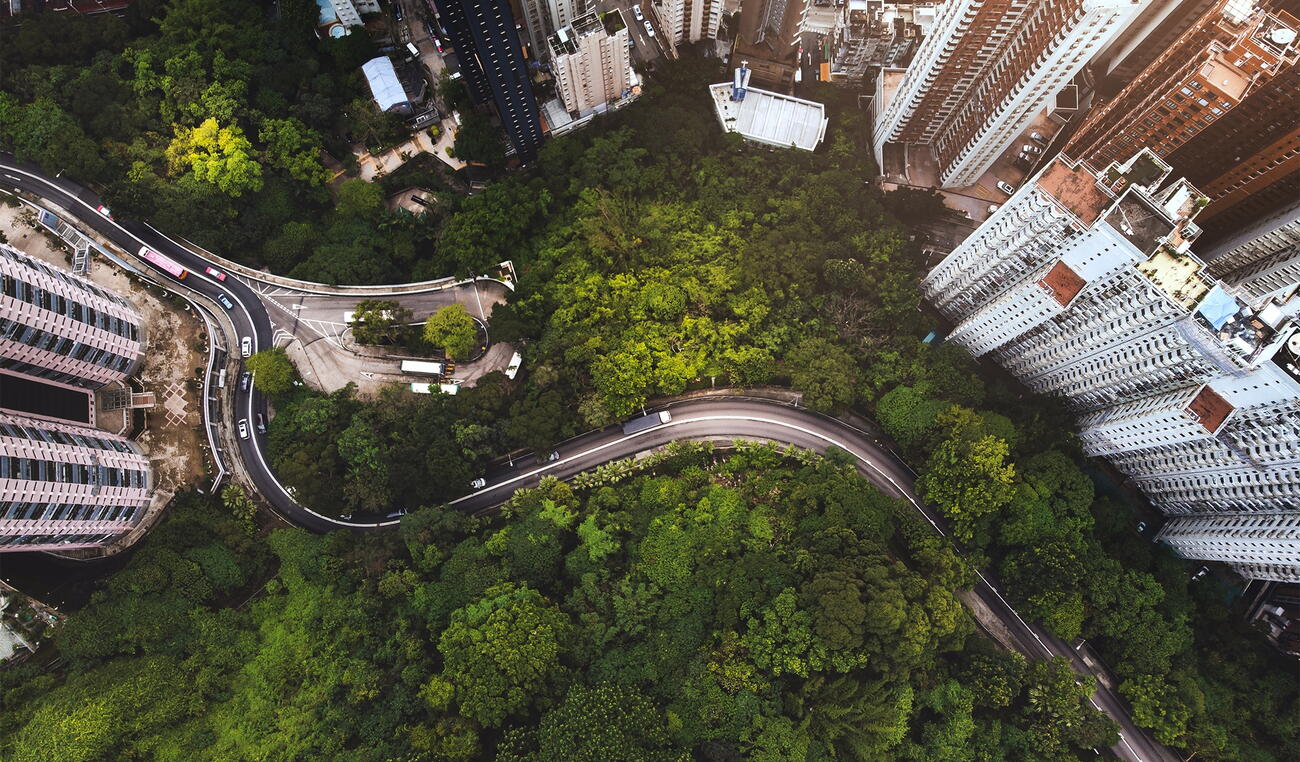 route vue du ciel arborée